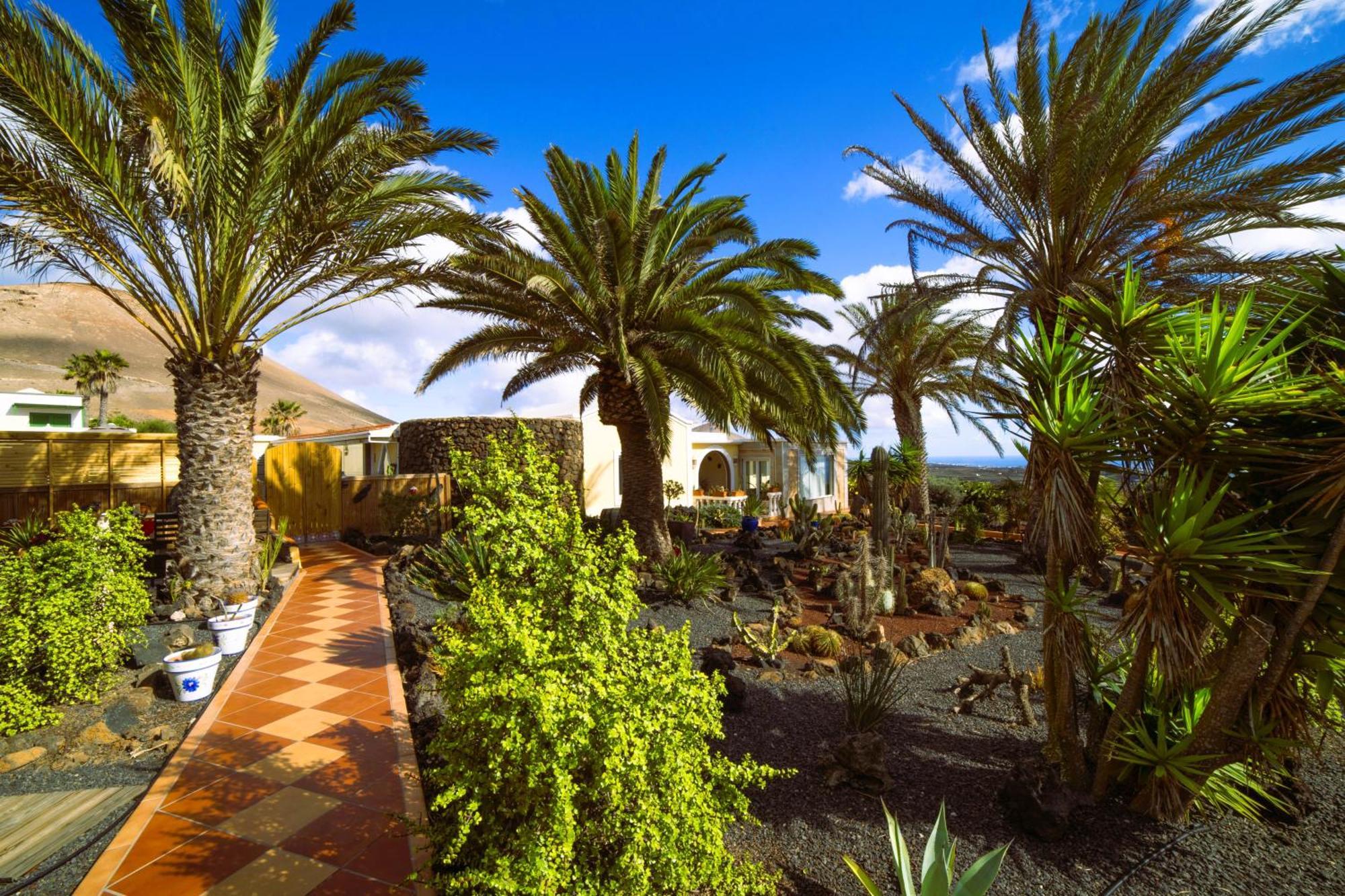 Madora - Sea View - Amazing Garden - Quiet Location - Bodegas & Hiking Trails Nearby Appartement *